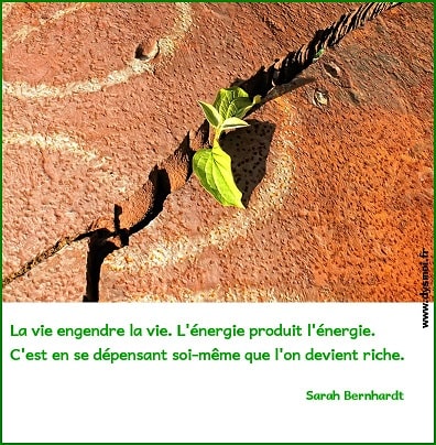 pensée positive
